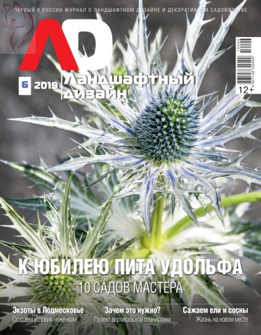 Ландшафтный дизайн №6, ноябрь - декабрь 2019