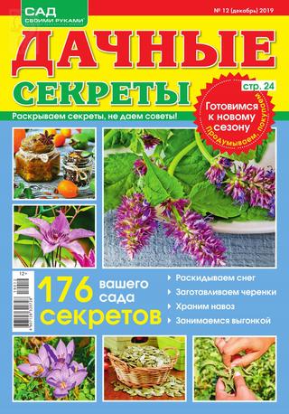 Дачные секреты №12, декабрь 2019