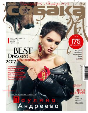 Собака, декабрь 2017 - январь 2018
