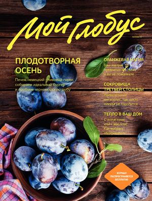 Мой Глобус, осень 2017