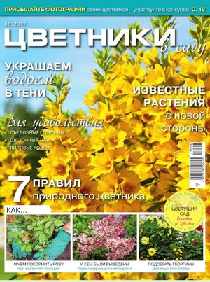 Цветники в саду №6, июнь 2017