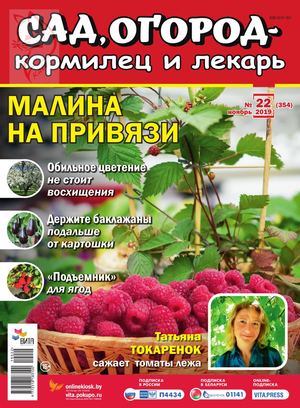 Сад, огород – кормилец и лекарь №22, ноябрь 2019