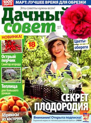 Дачный совет №4, февраль 2017
