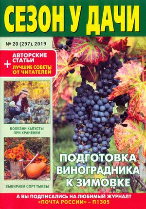 Сезон у дачи №20, октябрь 2019