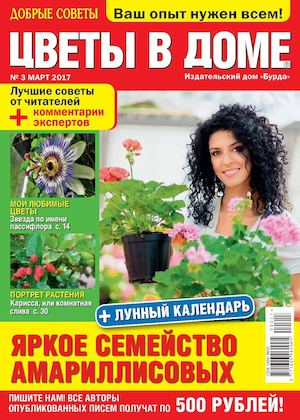 Цветы в доме №3, март 2017