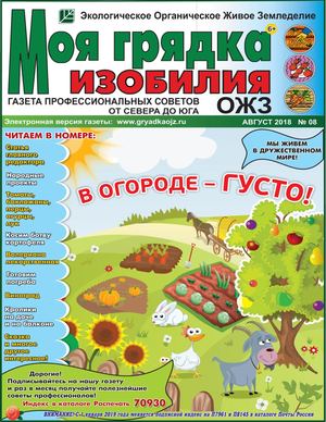 Моя грядка изобилия №8, август 2018