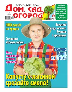 Круглый год: Дом, сад, огород №18, 2018