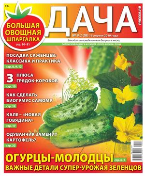 Дача №8, апрель 2019