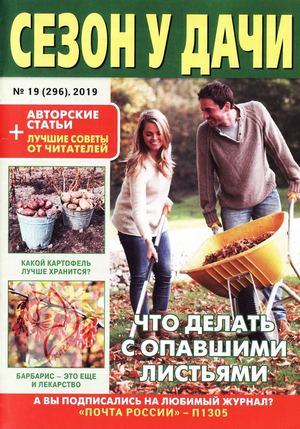 Сезон у дачи №19, октябрь 2019