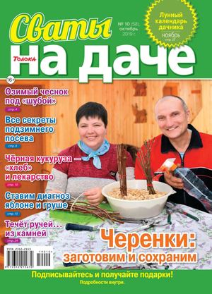 Сваты. На даче №10, октябрь 2019