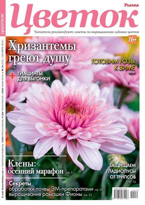 Цветок №19, октябрь 2019