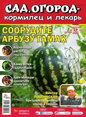 Сад, огород – кормилец и лекарь №19, октябрь 2019