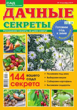 Дачные секреты №10, октябрь 2019