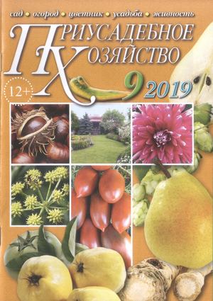 Приусадебное хозяйство №9, сентябрь 2019