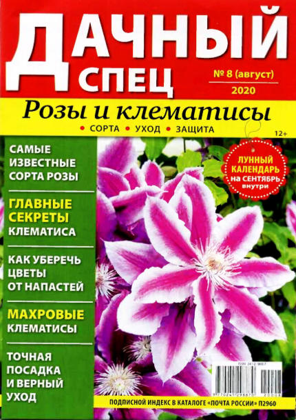 Дачный спец №8, август 2020