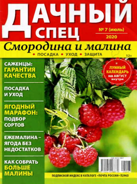 Дачный спец №7, июль 2020