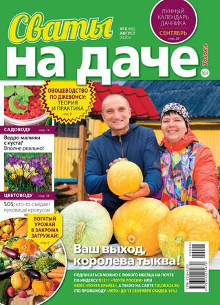 Сваты. На даче №8, август 2020