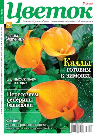 Цветок №16, август 2020