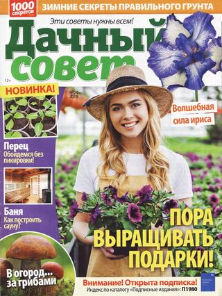Дачный совет № 24, 2019