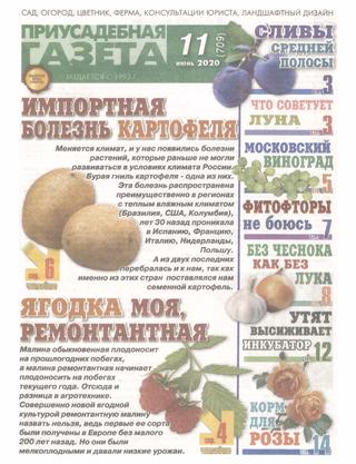 Приусадебная газета №11, июнь 2020