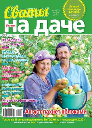 Сваты на даче №8, август 2019