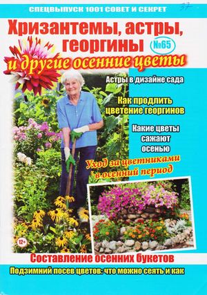 1001 совет и секрет. Спецвыпуск №65, 2019