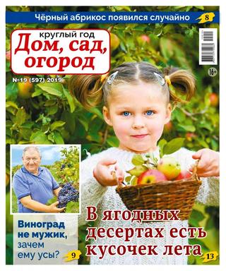 Круглый год: Дом, сад, огород №19, 2019